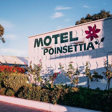 Motel Poinsettia Port Augusta Eksteriør bilde